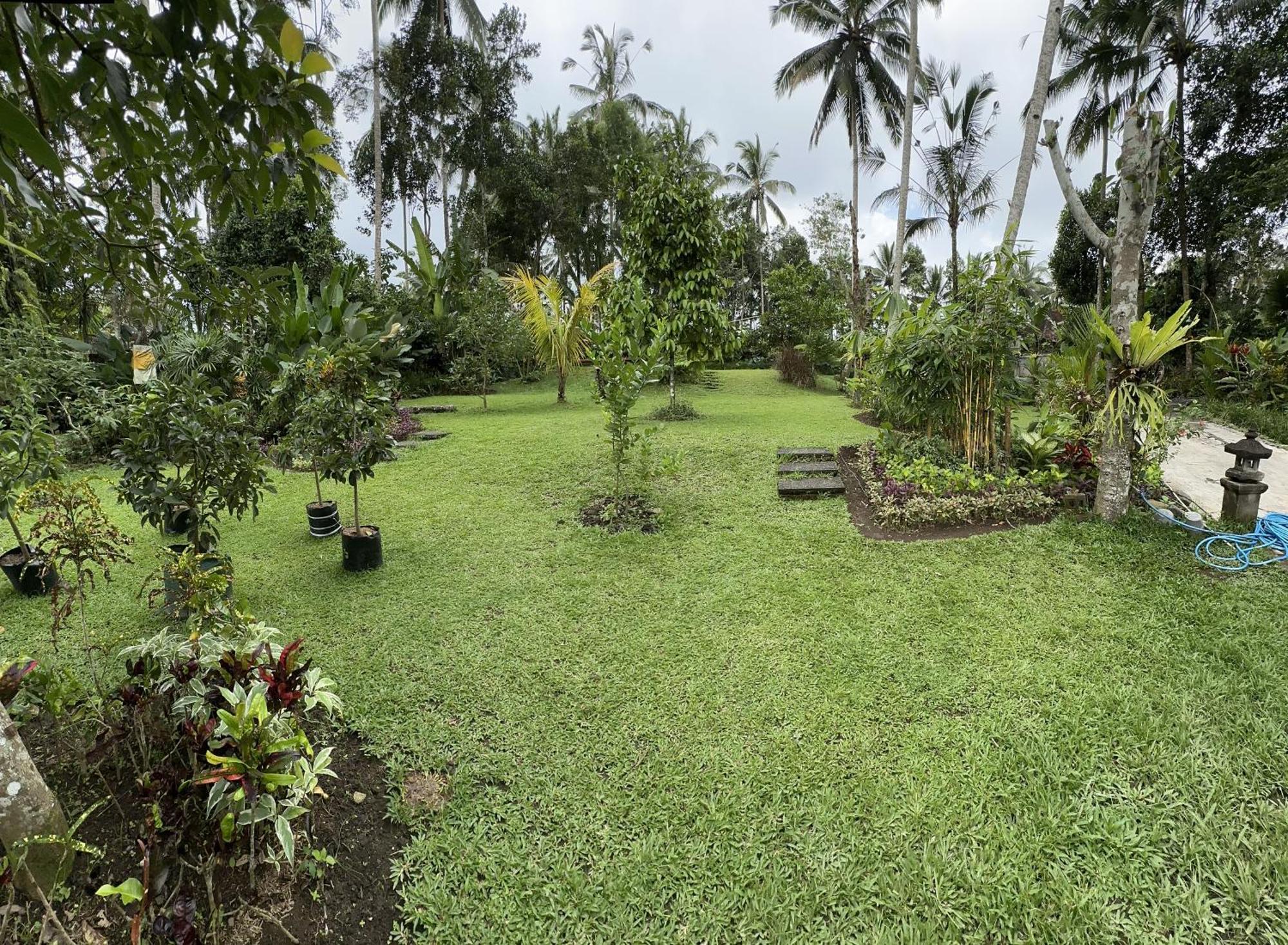 Kaja Villa Ubud Exteriér fotografie