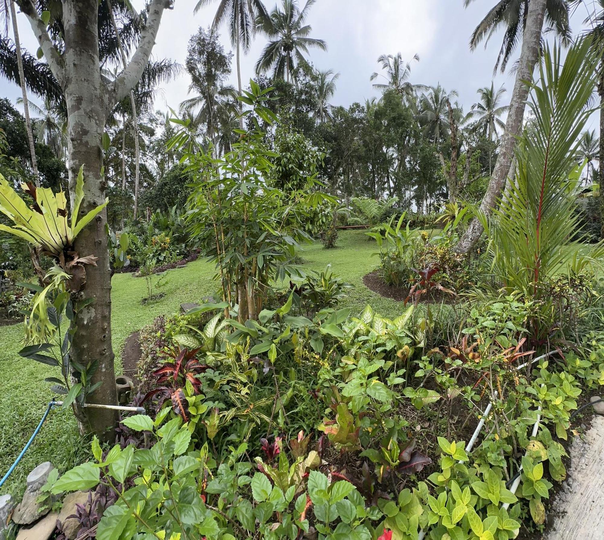 Kaja Villa Ubud Exteriér fotografie